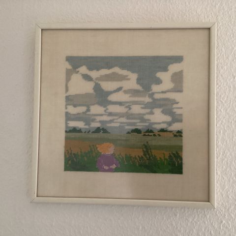Annoncebillede