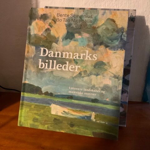 Annoncebillede