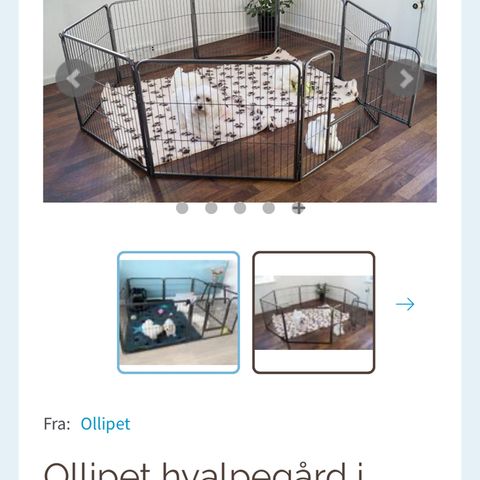 Annoncebillede