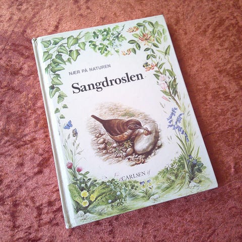 Annoncebillede