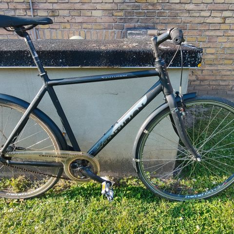 Annoncebillede
