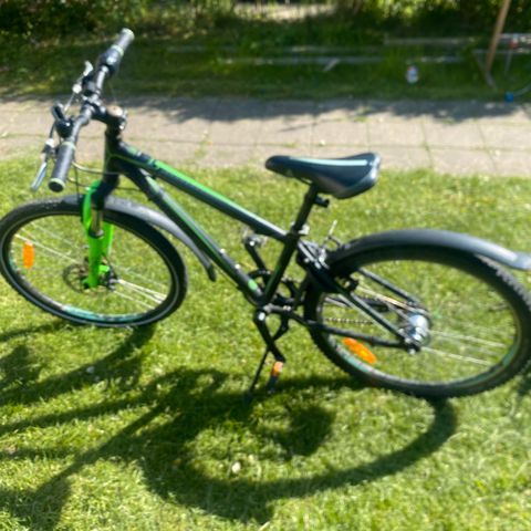 Annoncebillede