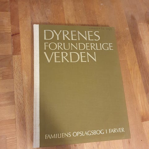 Annoncebillede