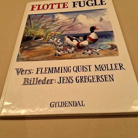 Annoncebillede