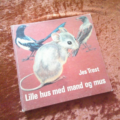 Annoncebillede