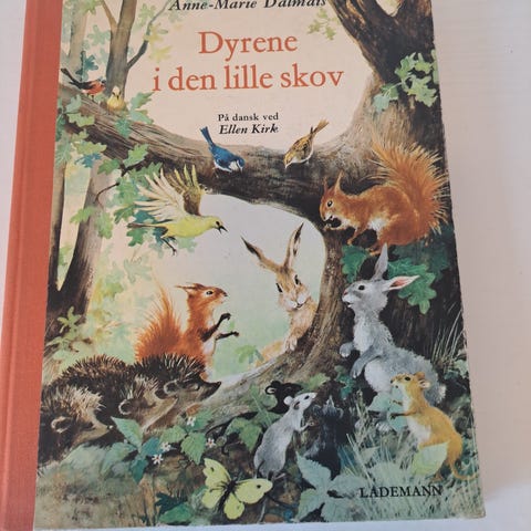 Annoncebillede