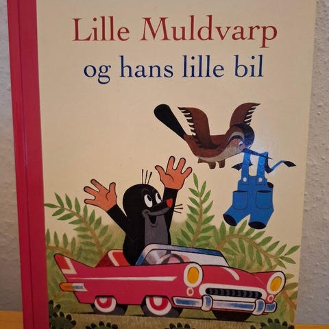 Annoncebillede