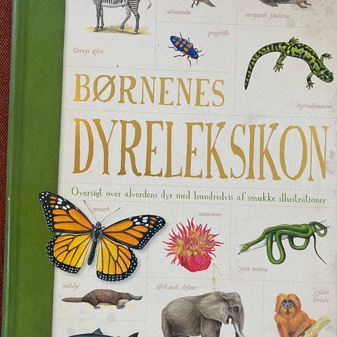 Annoncebillede