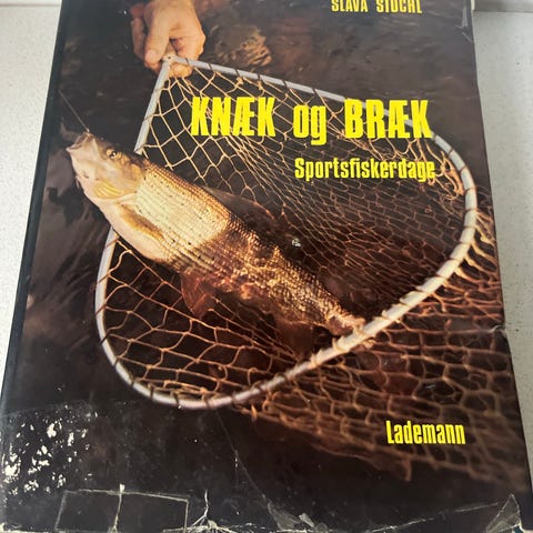 Annoncebillede