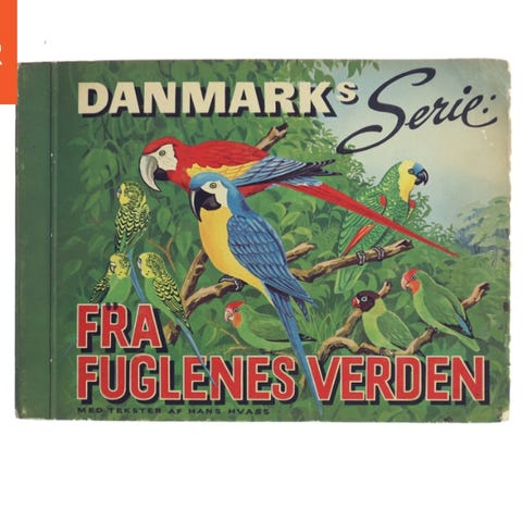Annoncebillede
