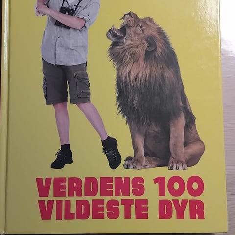 Annoncebillede