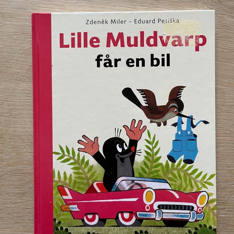 Annoncebillede