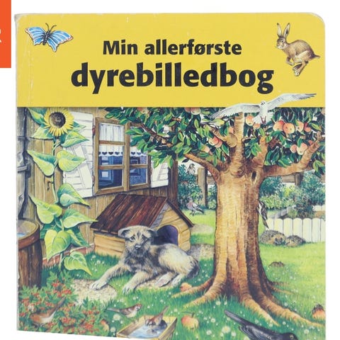 Annoncebillede