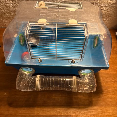 Image showcasing Hamster bur | DBA