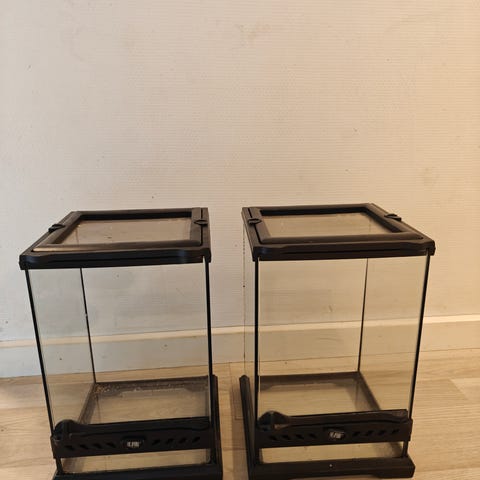 exo-terrarium-dba