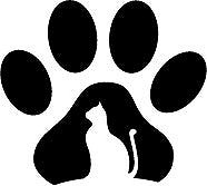 Profilbillede eller logo for Katte Living