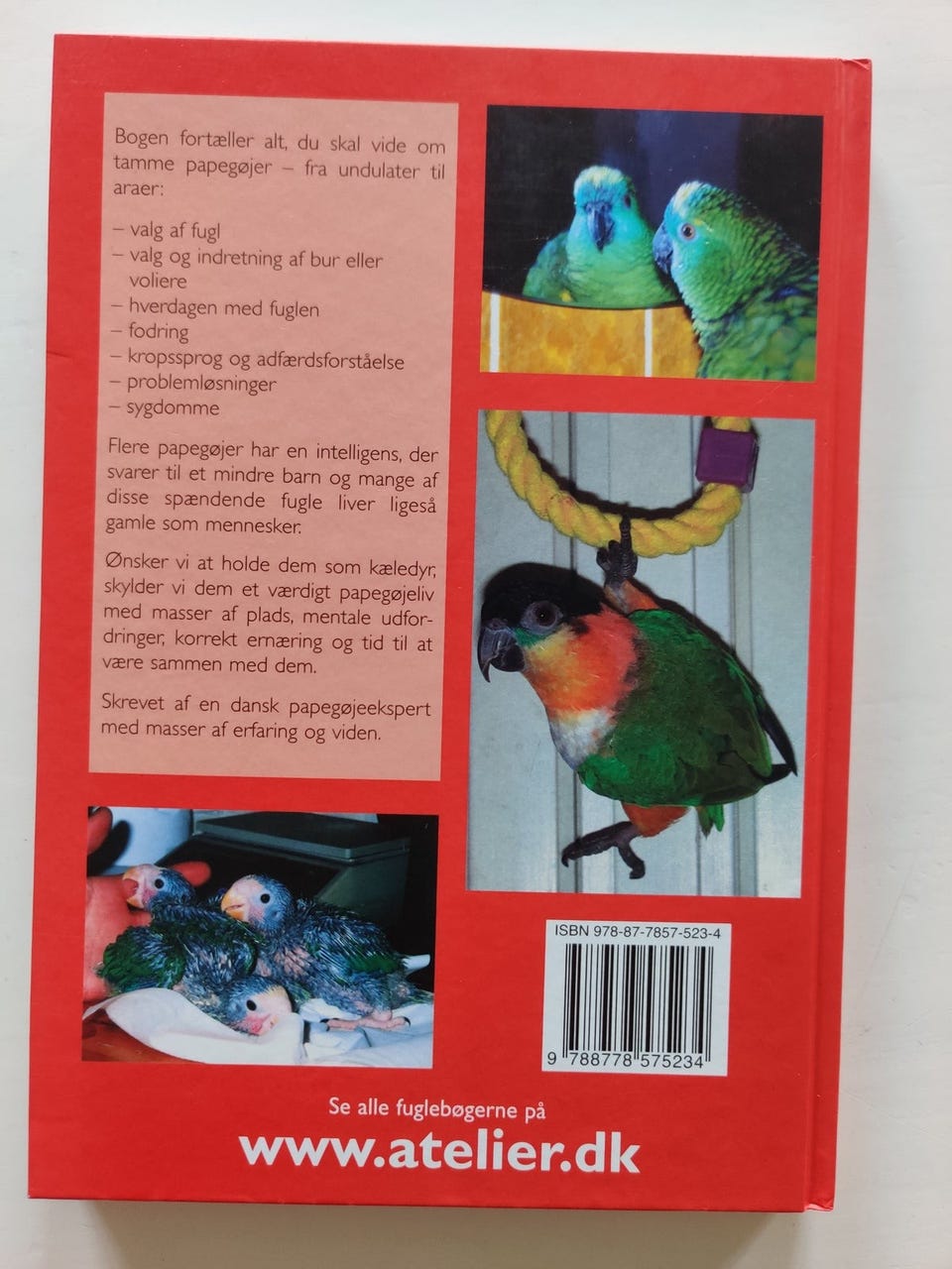 Galleribillede