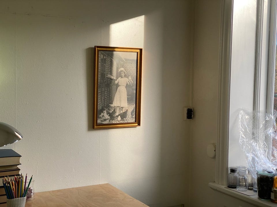 Galleribillede