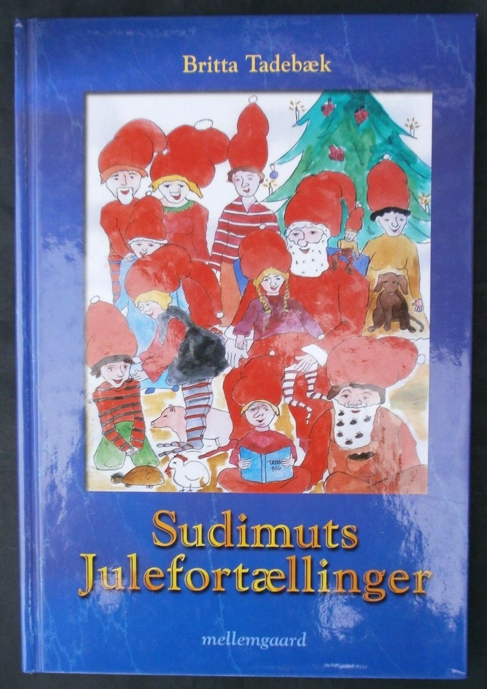 Galleribillede