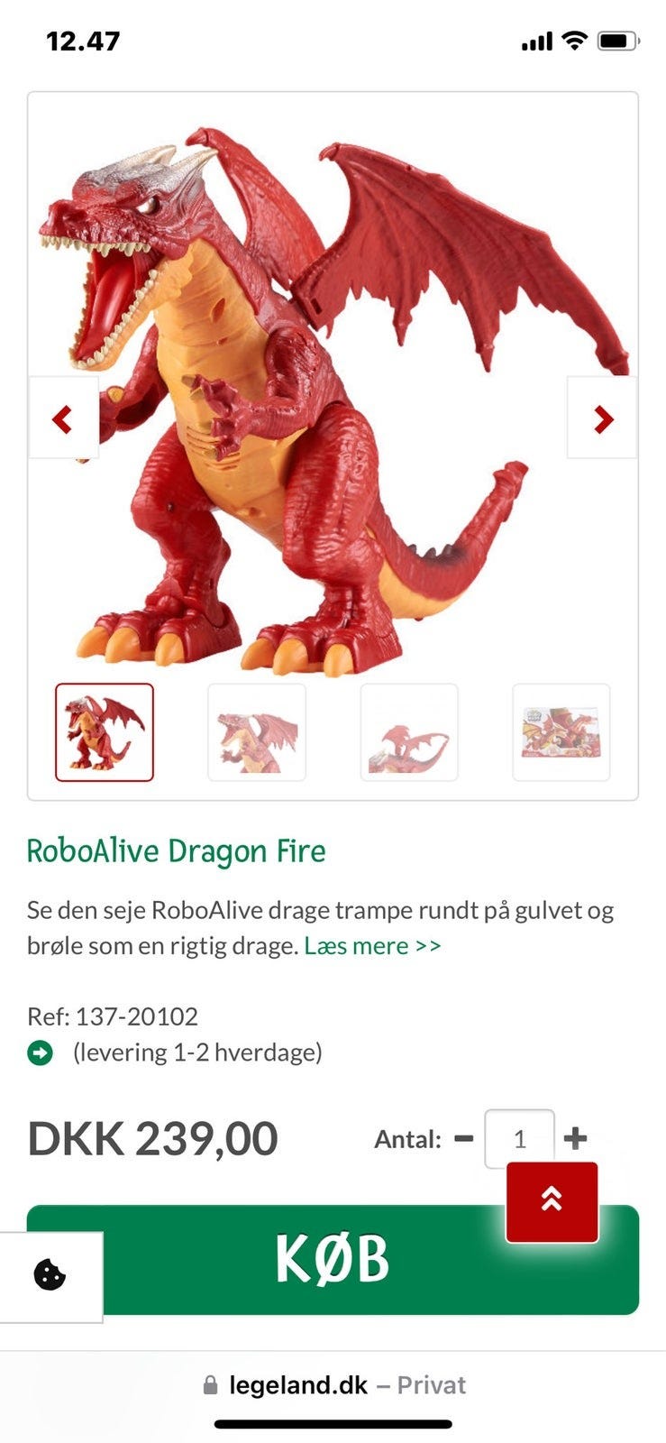 Galleribillede
