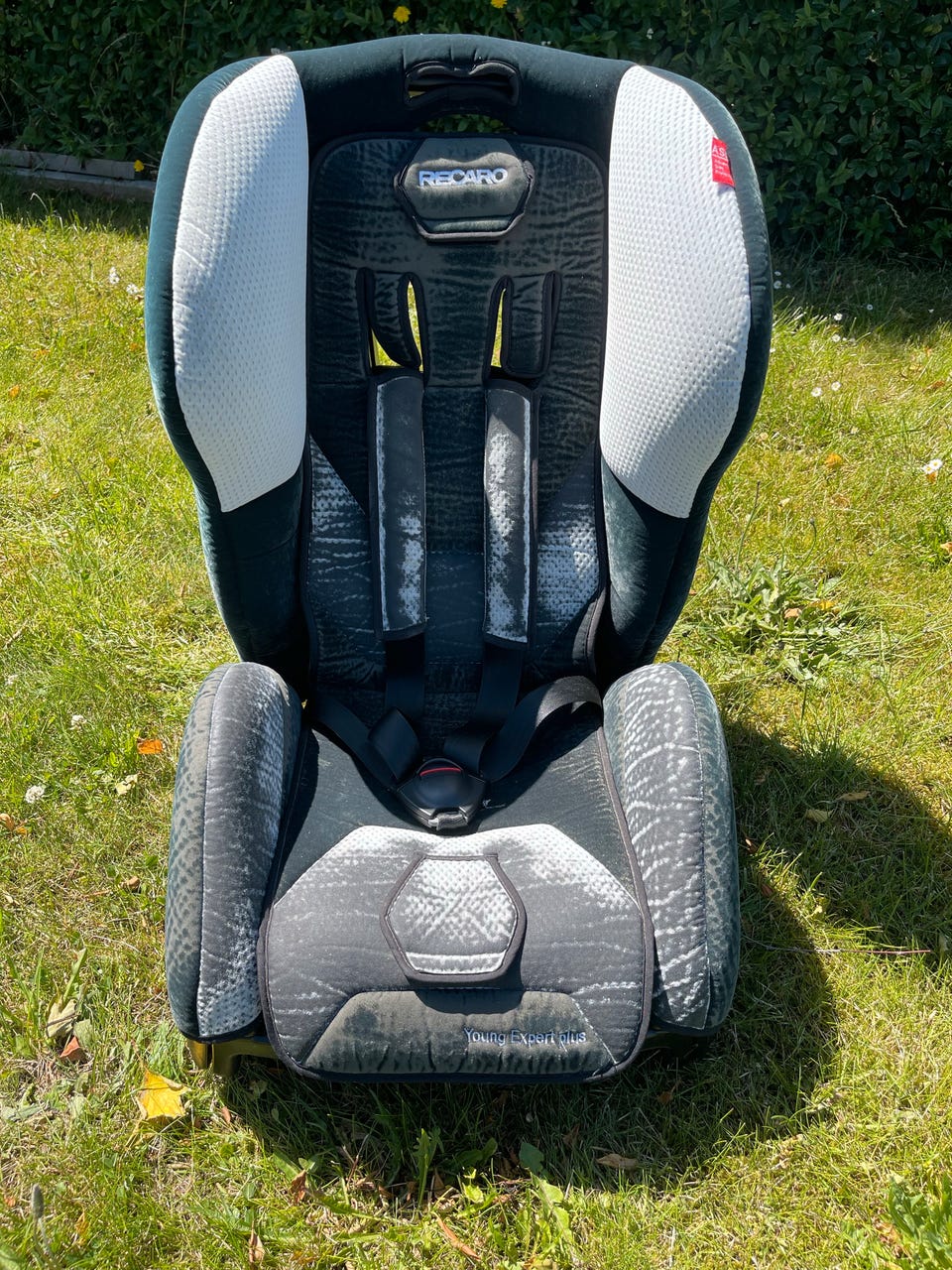 RECARO Young Expert plus 9-18kg DBA