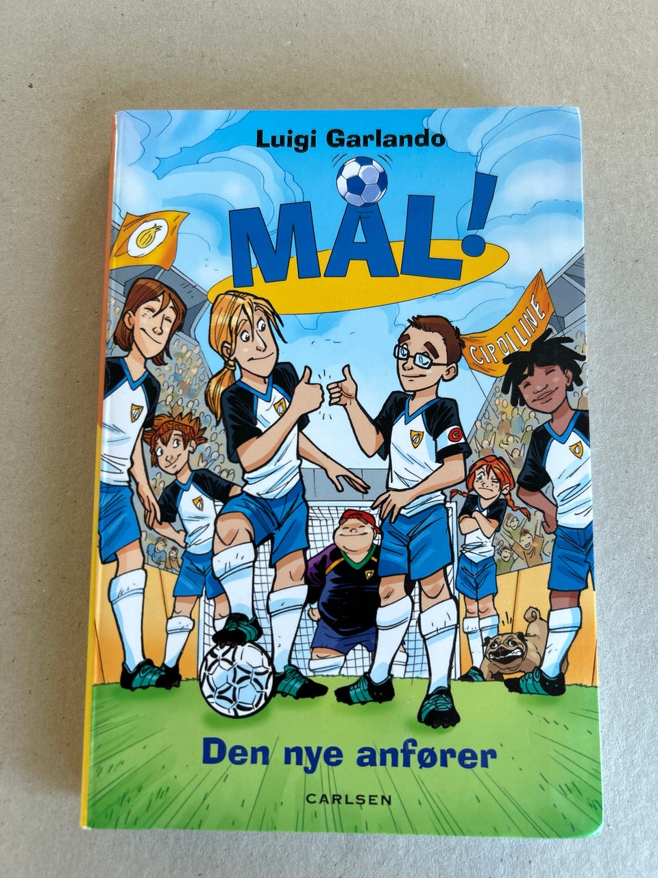 Galleribillede
