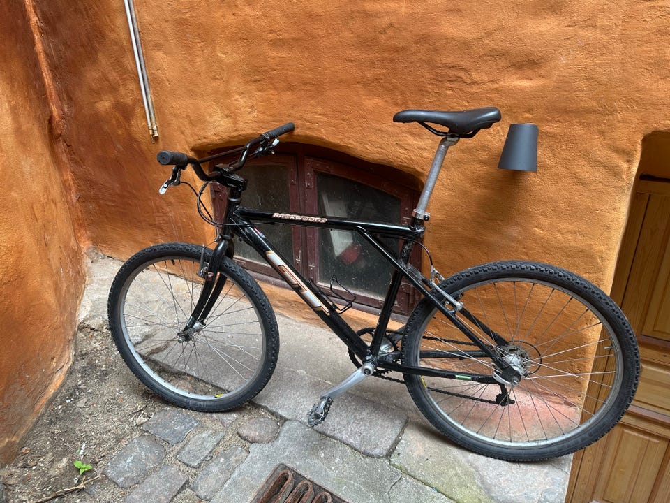 GT Backwoods Alu DBA