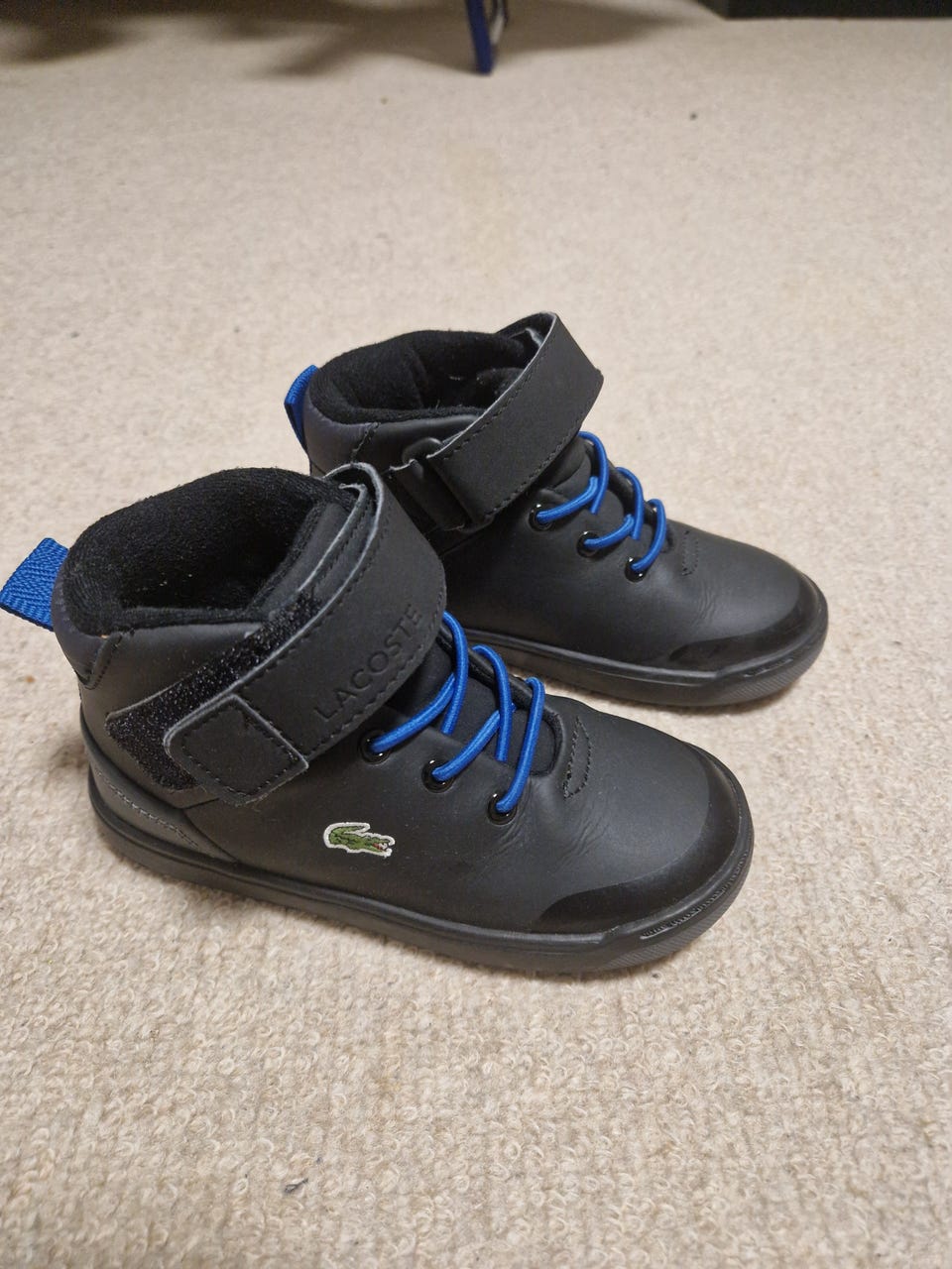 Lacoste explorateur thermo DBA