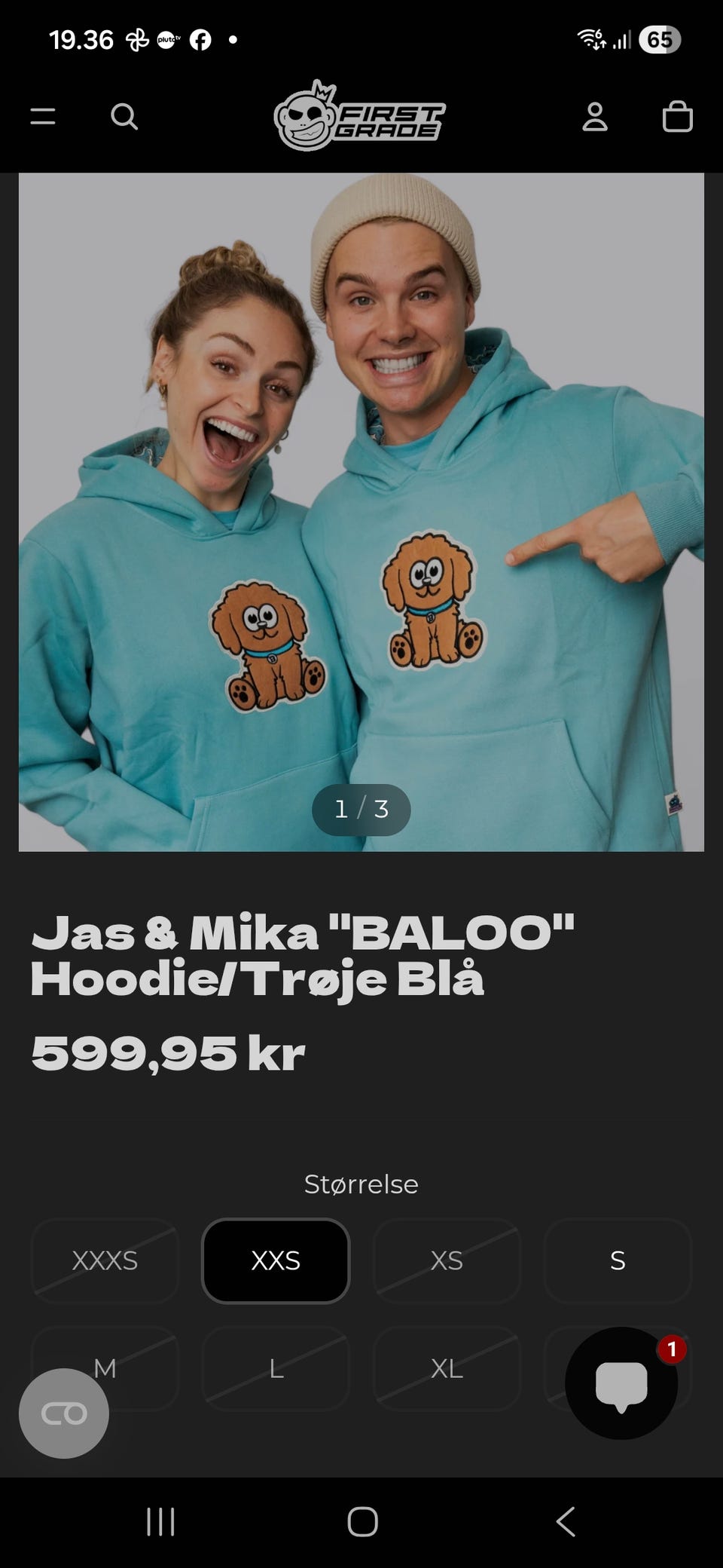 Galleribillede