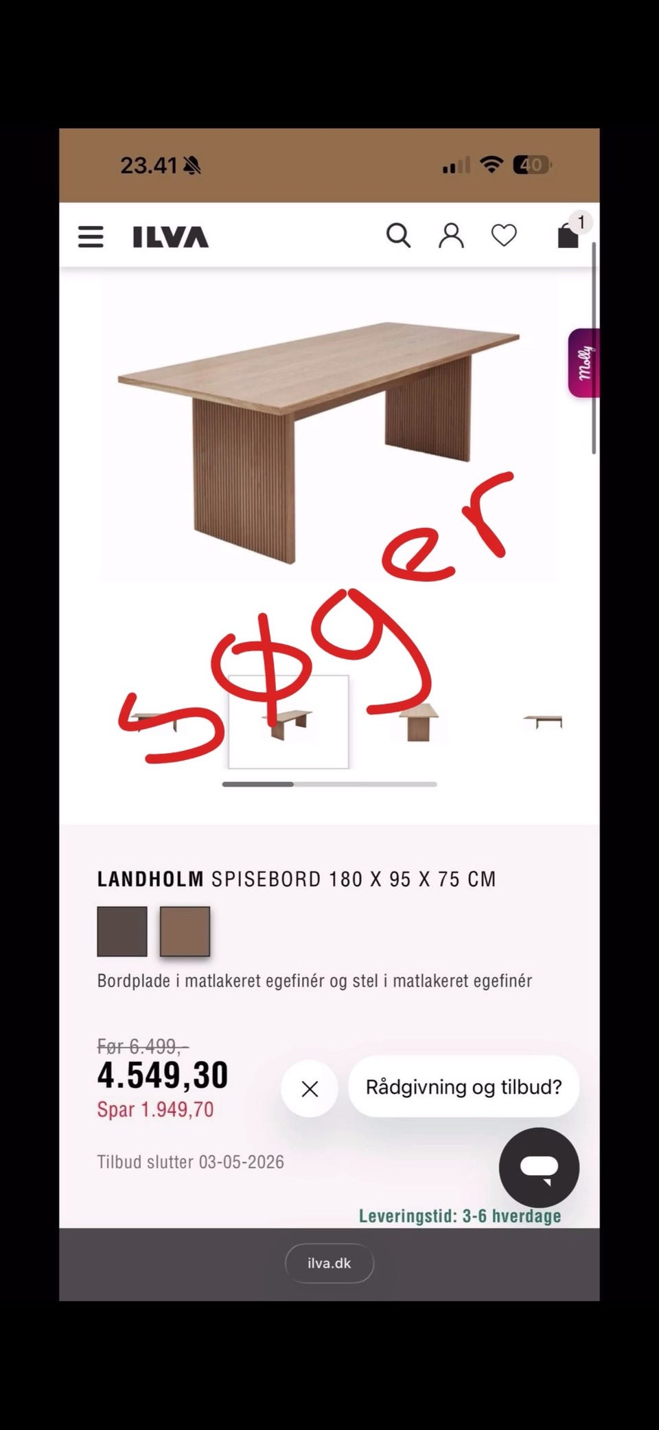 Galleribillede
