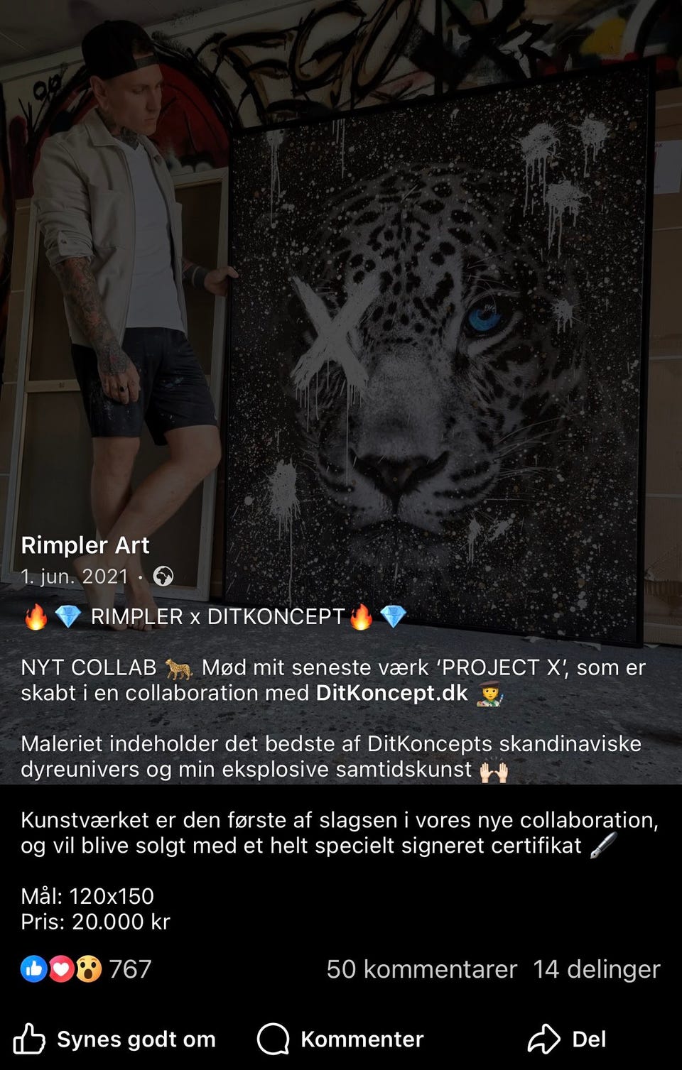 Galleribillede