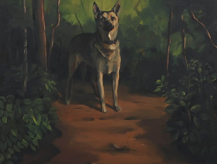 Galleribillede