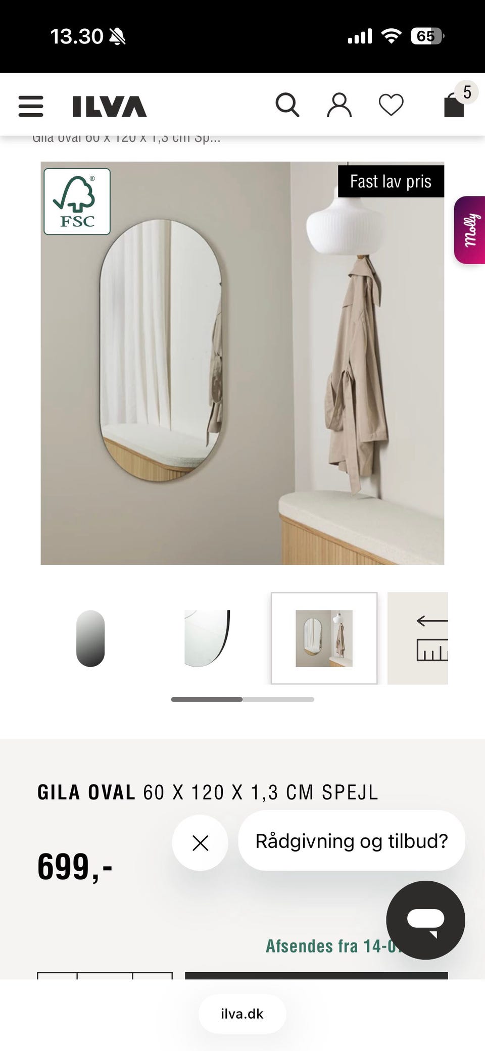 Galleribillede