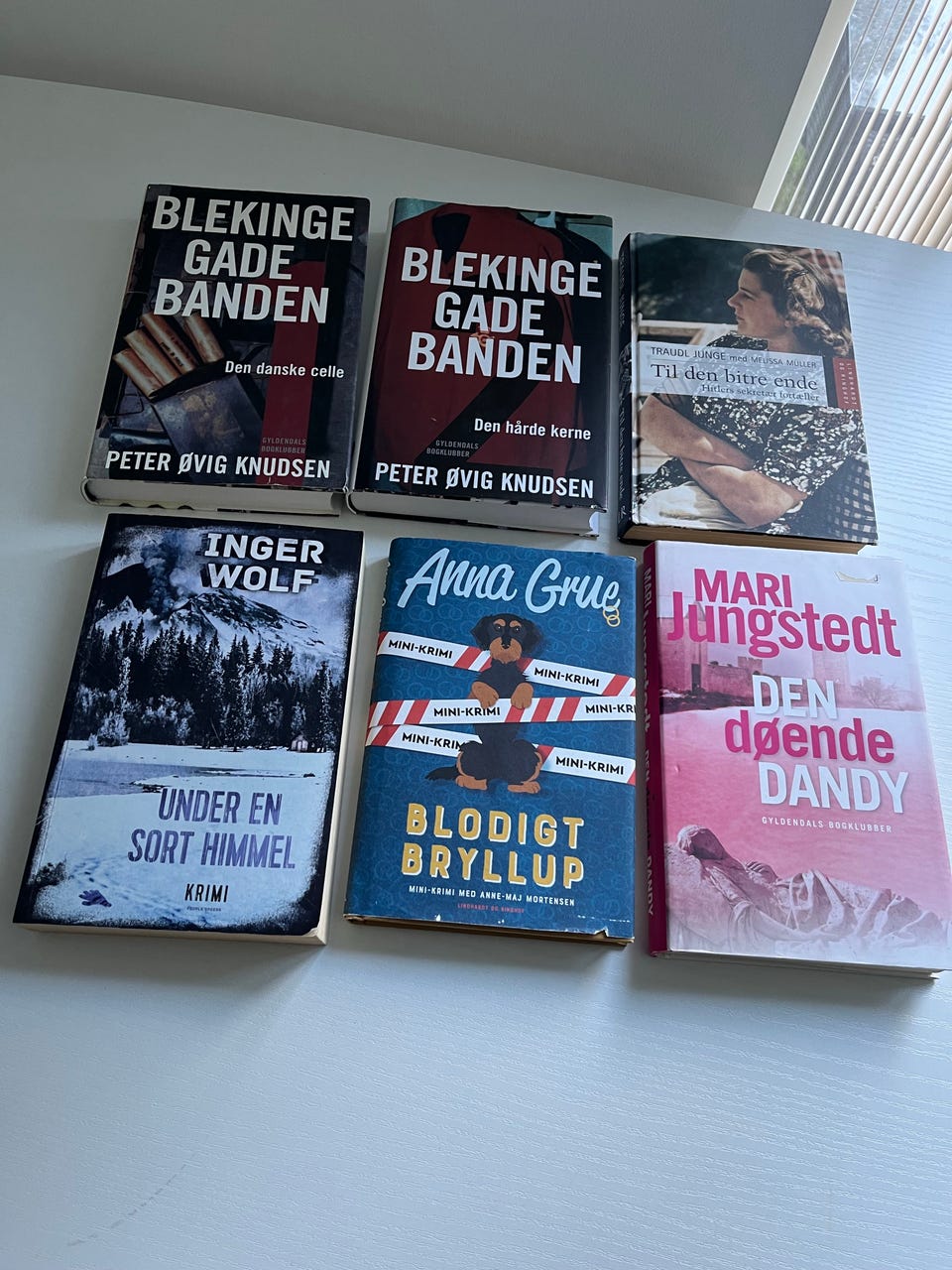 Galleribillede