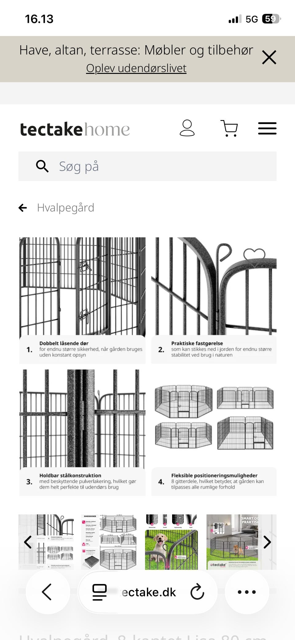 Galleribillede