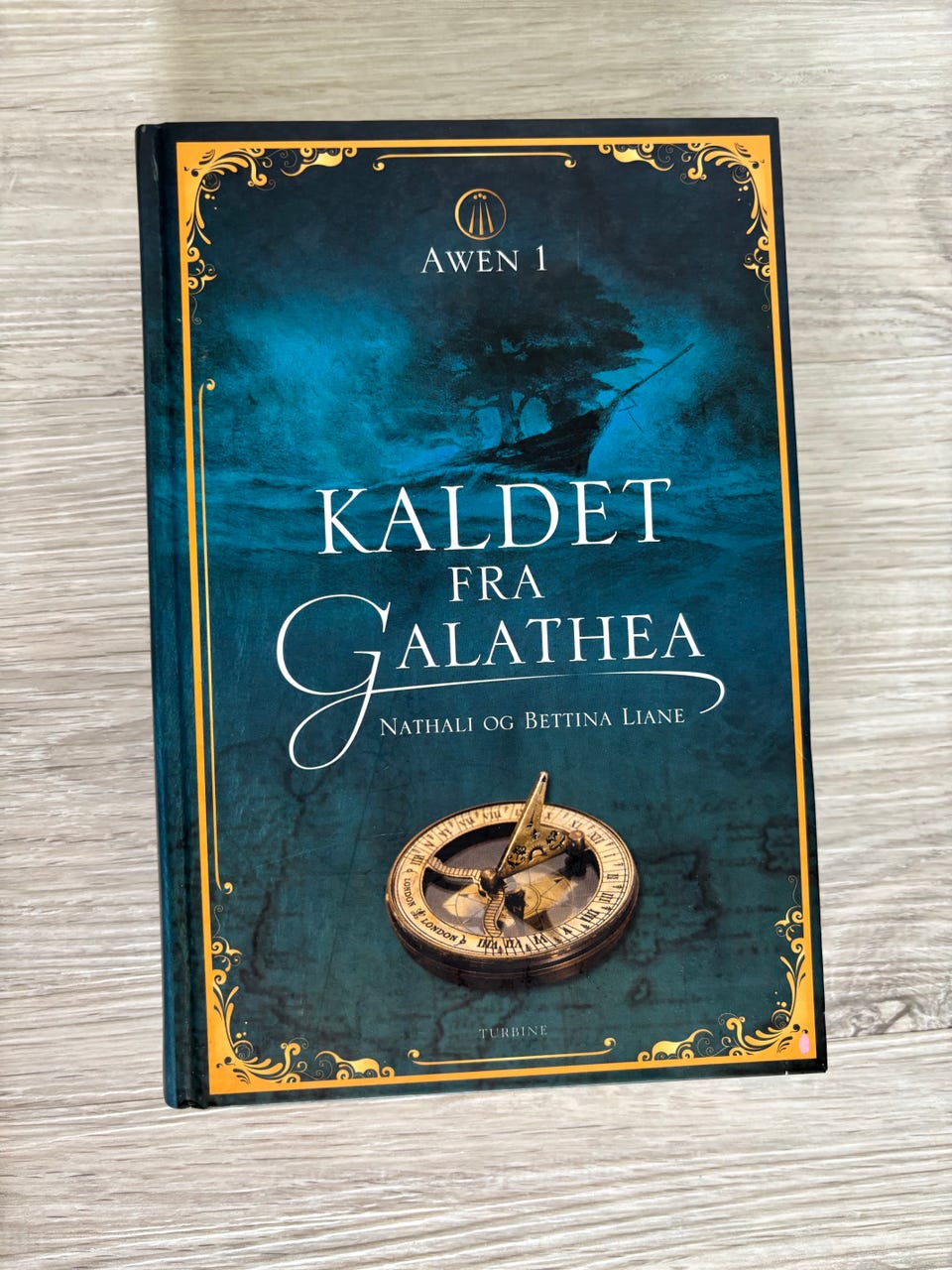Galleribillede