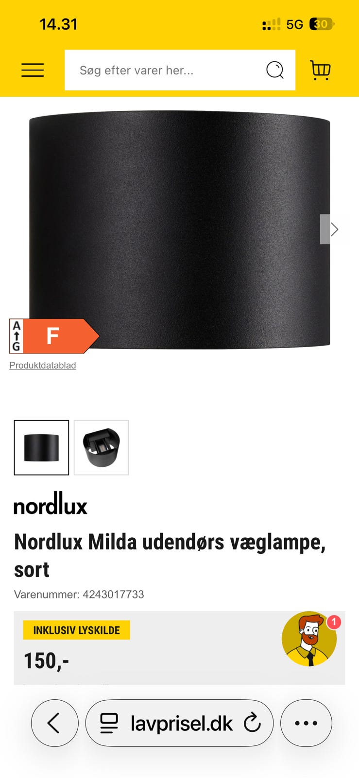 Galleribillede