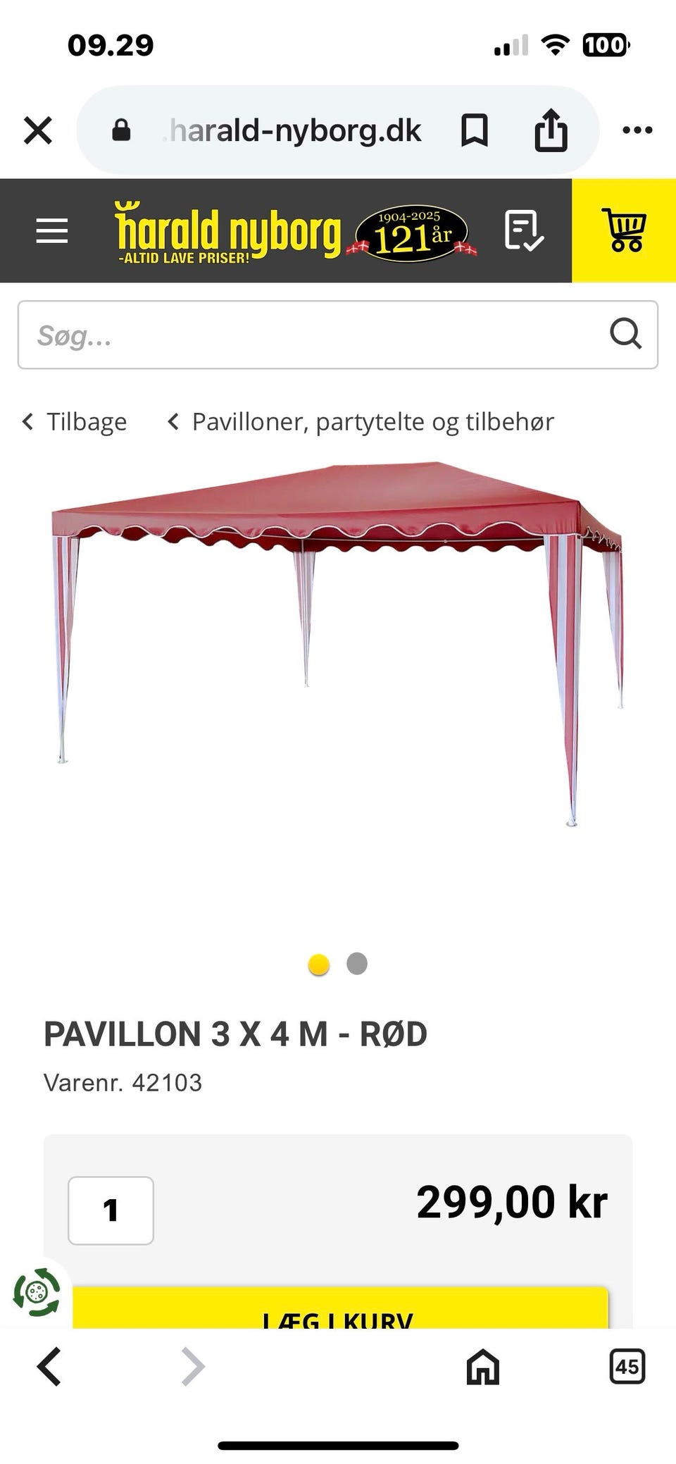 Galleribillede