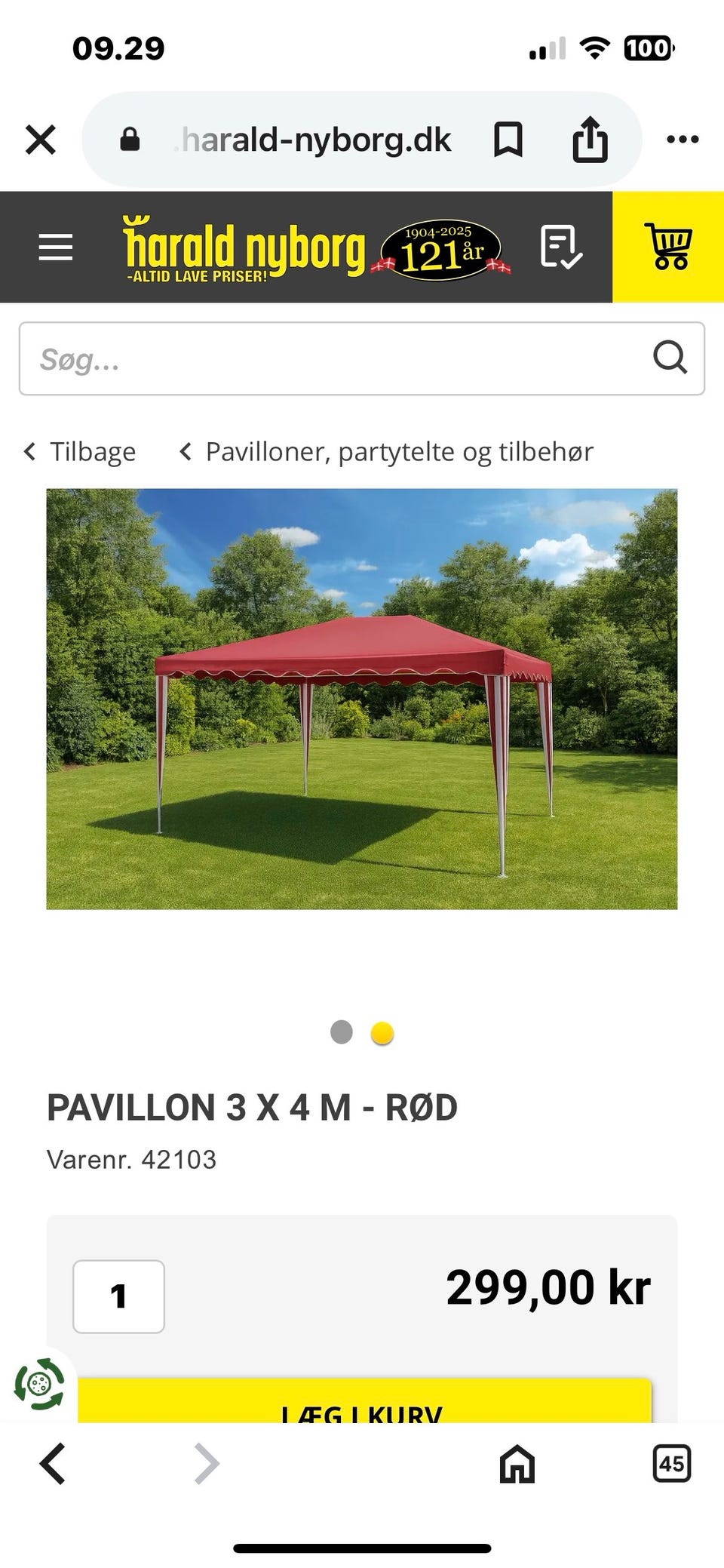Galleribillede