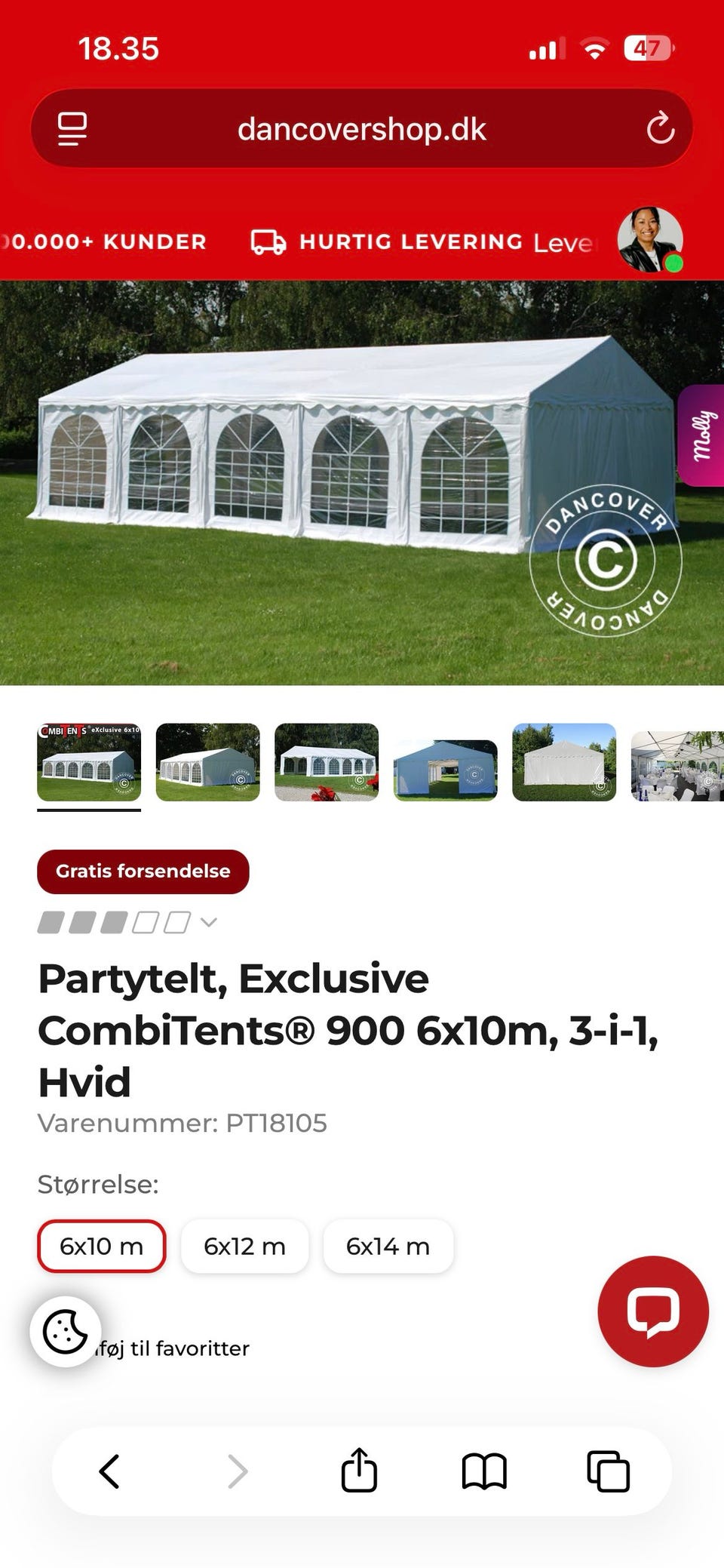 Galleribillede