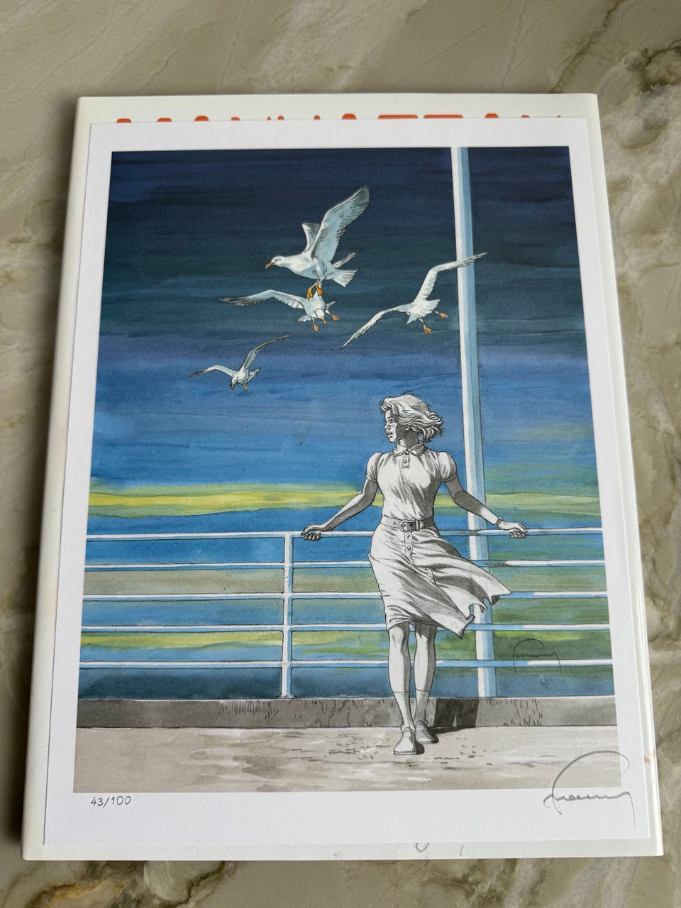 Galleribillede