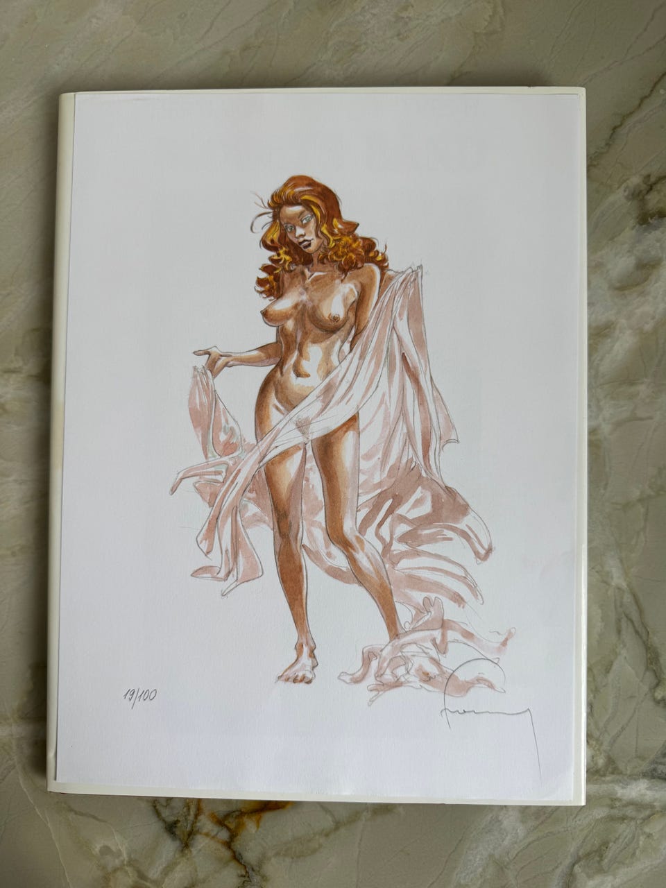 Galleribillede
