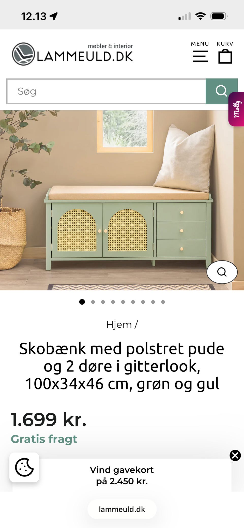 Galleribillede
