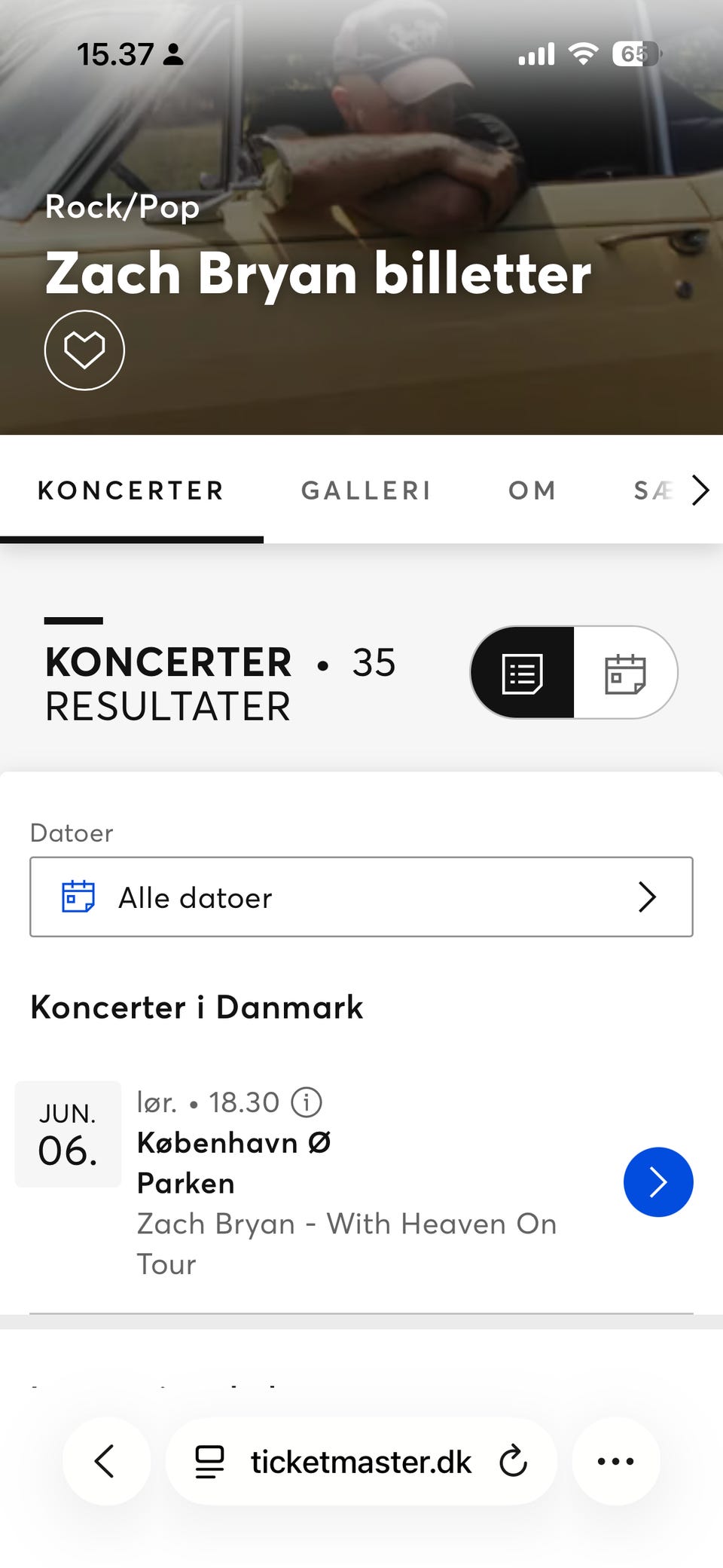 Galleribillede