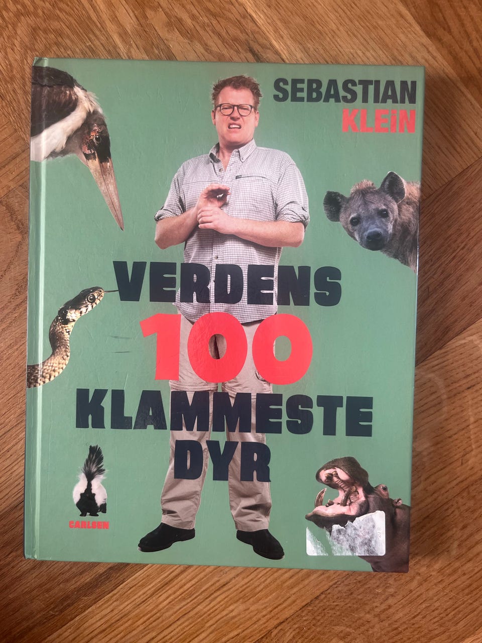 Galleribillede