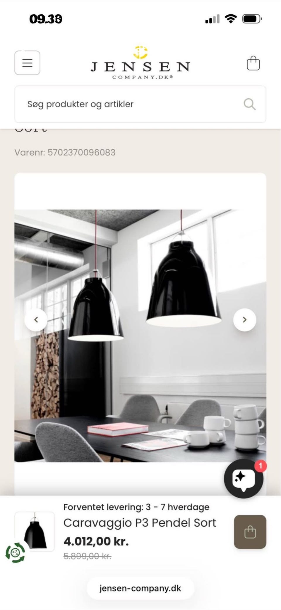 Galleribillede