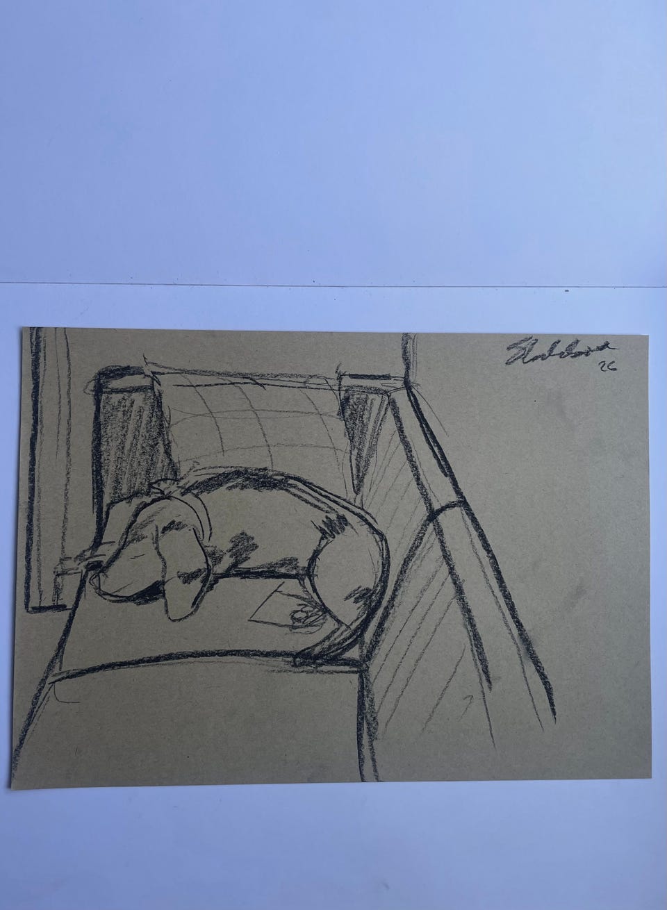 Galleribillede