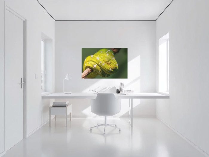 Galleribillede