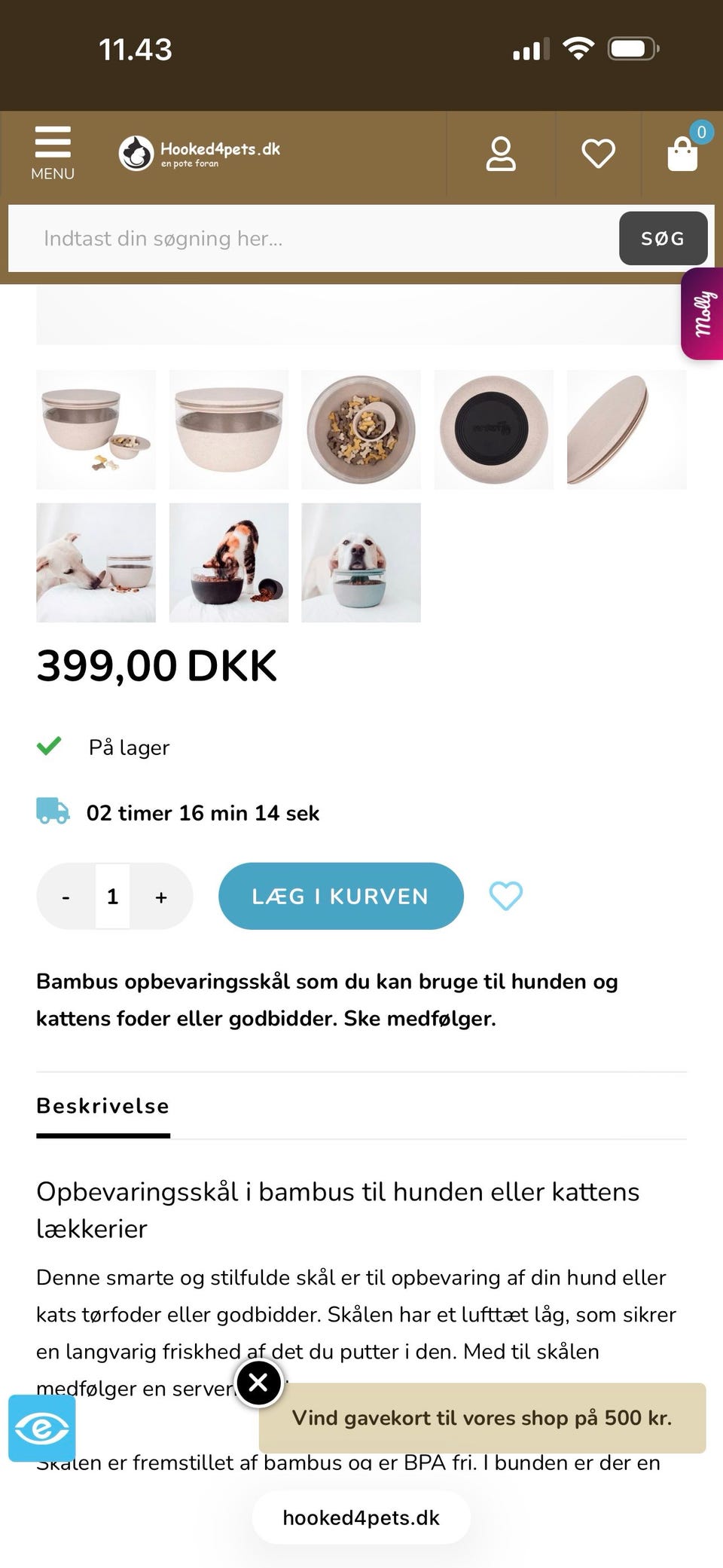 Galleribillede