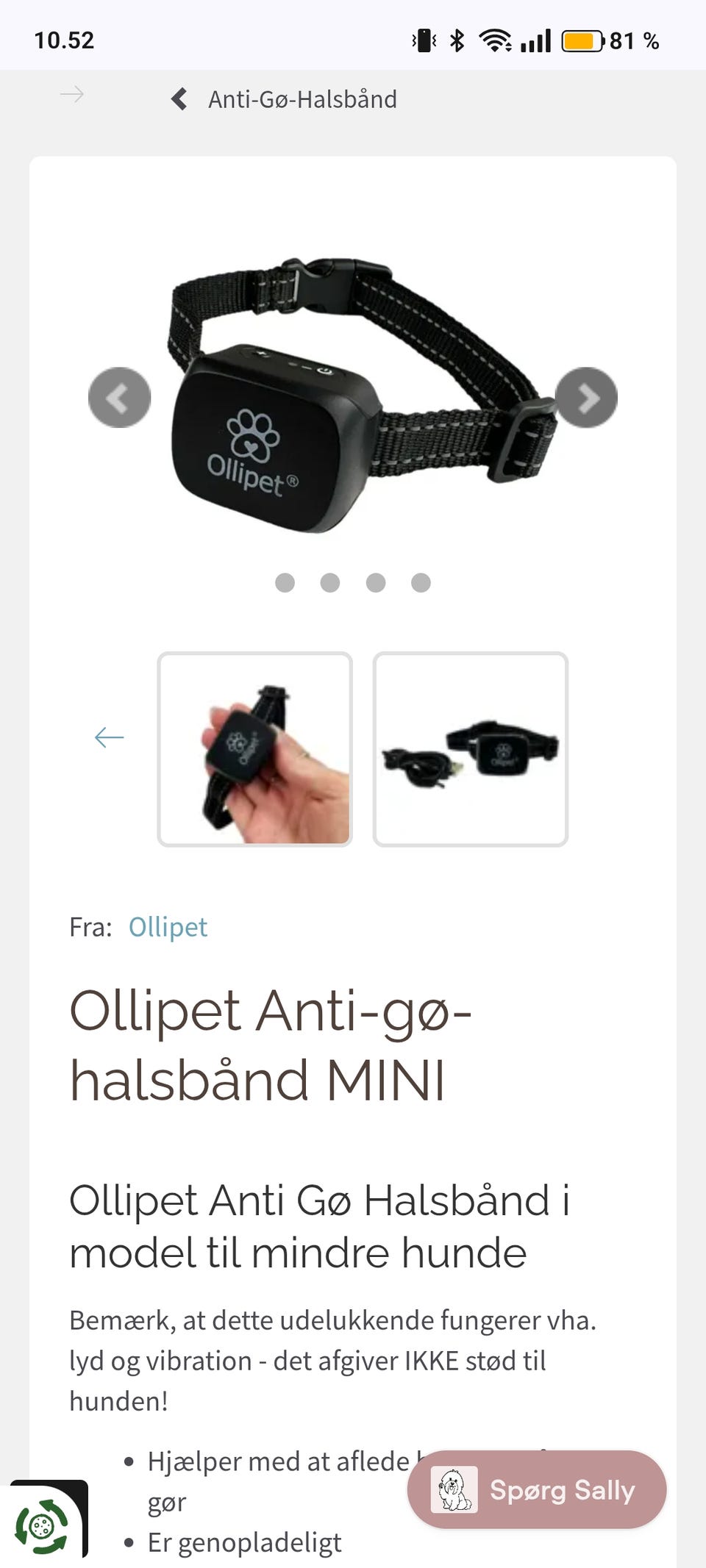 Galleribillede